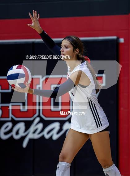 Thumbnail 1 in Prosper @ Lovejoy photogallery.
