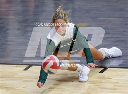 Thumbnail 1 in Prosper @ Lovejoy photogallery.