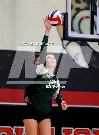 Thumbnail 1 in Prosper @ Lovejoy photogallery.