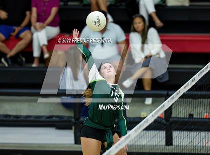 Thumbnail 3 in Prosper @ Lovejoy photogallery.