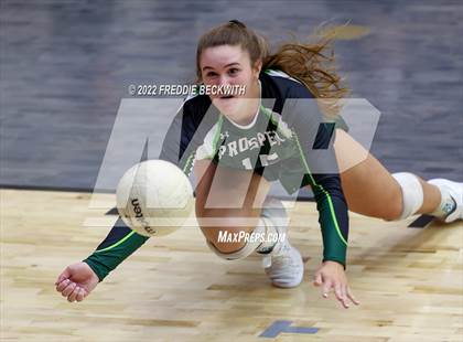 Thumbnail 2 in Prosper @ Lovejoy photogallery.