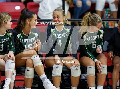 Thumbnail 1 in Prosper @ Lovejoy photogallery.