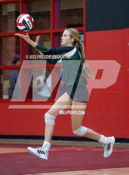 Thumbnail 2 in Prosper @ Lovejoy photogallery.