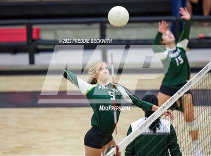Thumbnail 3 in Prosper @ Lovejoy photogallery.