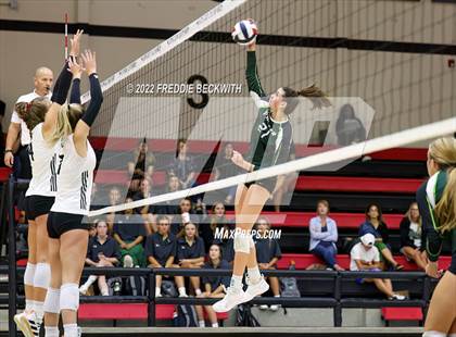 Thumbnail 2 in Prosper @ Lovejoy photogallery.