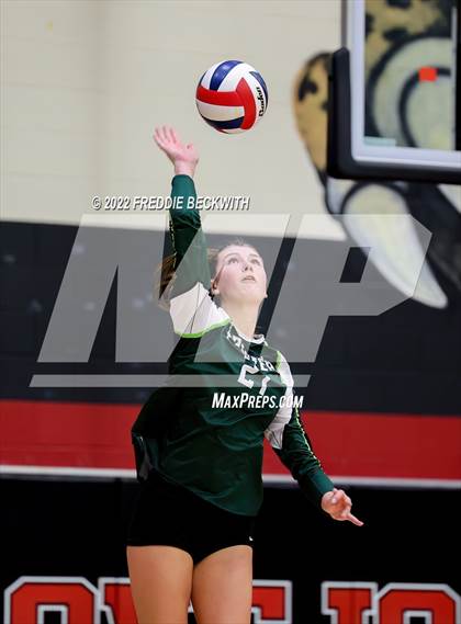 Thumbnail 3 in Prosper @ Lovejoy photogallery.