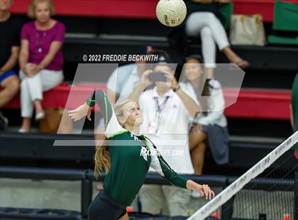 Thumbnail 1 in Prosper @ Lovejoy photogallery.