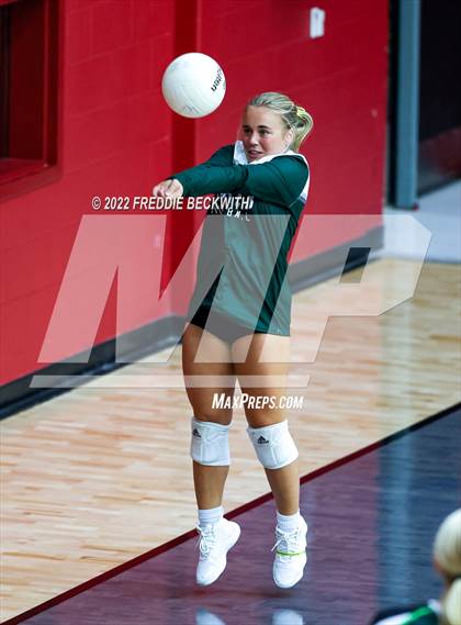 Thumbnail 3 in Prosper @ Lovejoy photogallery.