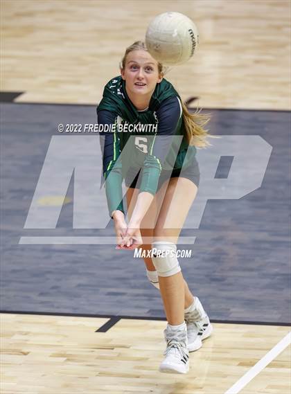 Thumbnail 3 in Prosper @ Lovejoy photogallery.