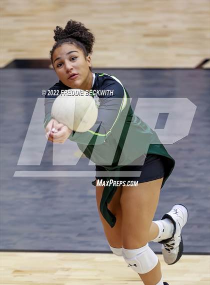 Thumbnail 3 in Prosper @ Lovejoy photogallery.