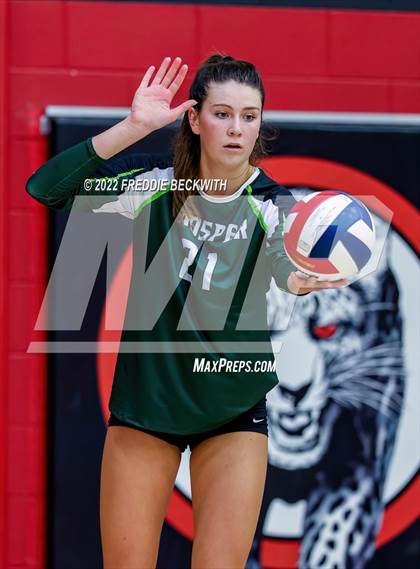 Thumbnail 1 in Prosper @ Lovejoy photogallery.