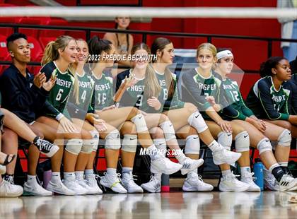 Thumbnail 1 in Prosper @ Lovejoy photogallery.
