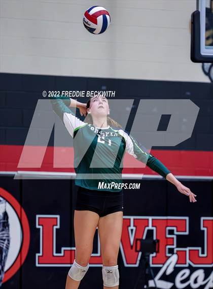 Thumbnail 1 in Prosper @ Lovejoy photogallery.