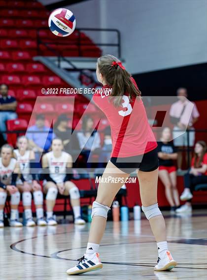 Thumbnail 1 in Prosper @ Lovejoy photogallery.