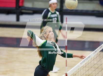 Thumbnail 3 in Prosper @ Lovejoy photogallery.