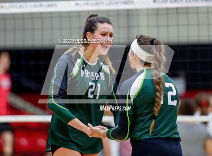 Thumbnail 3 in Prosper @ Lovejoy photogallery.