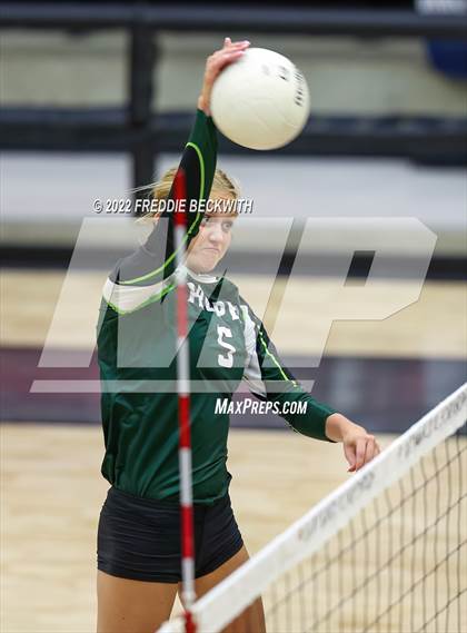 Thumbnail 2 in Prosper @ Lovejoy photogallery.