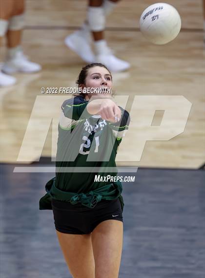 Thumbnail 2 in Prosper @ Lovejoy photogallery.