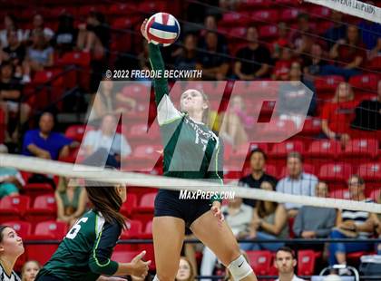 Thumbnail 2 in Prosper @ Lovejoy photogallery.