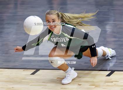 Thumbnail 3 in Prosper @ Lovejoy photogallery.