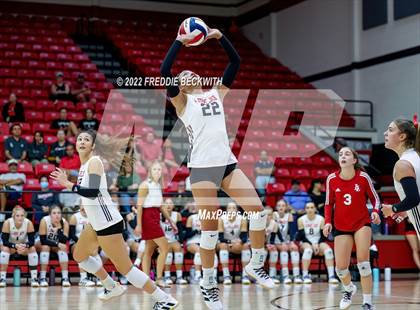Thumbnail 2 in Prosper @ Lovejoy photogallery.