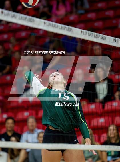 Thumbnail 2 in Prosper @ Lovejoy photogallery.