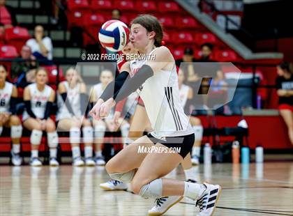 Thumbnail 3 in Prosper @ Lovejoy photogallery.