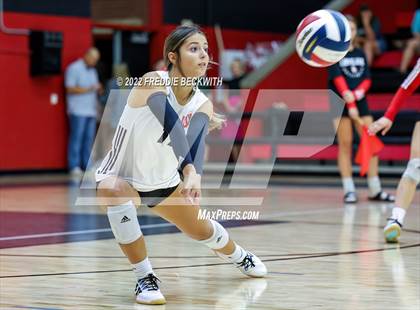 Thumbnail 1 in Prosper @ Lovejoy photogallery.