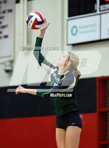 Thumbnail 3 in Prosper @ Lovejoy photogallery.