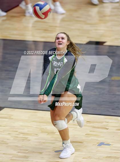 Thumbnail 2 in Prosper @ Lovejoy photogallery.