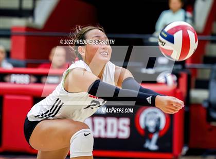 Thumbnail 3 in Prosper @ Lovejoy photogallery.