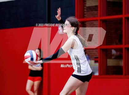 Thumbnail 1 in Prosper @ Lovejoy photogallery.