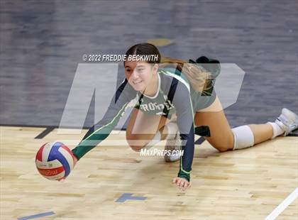 Thumbnail 2 in Prosper @ Lovejoy photogallery.