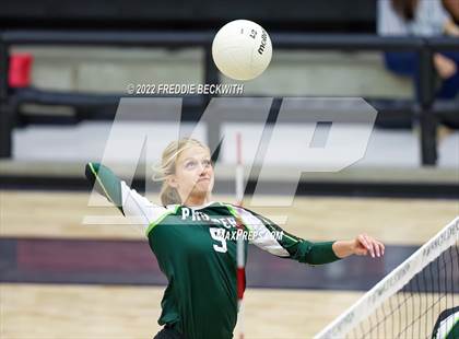 Thumbnail 1 in Prosper @ Lovejoy photogallery.