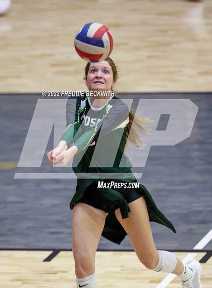 Thumbnail 1 in Prosper @ Lovejoy photogallery.