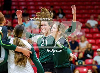 Thumbnail 1 in Prosper @ Lovejoy photogallery.