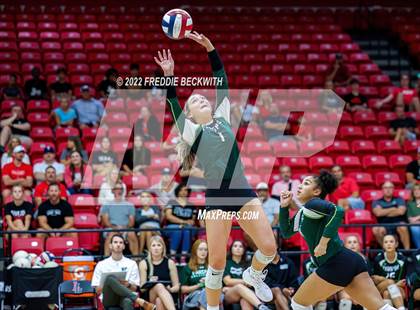 Thumbnail 3 in Prosper @ Lovejoy photogallery.