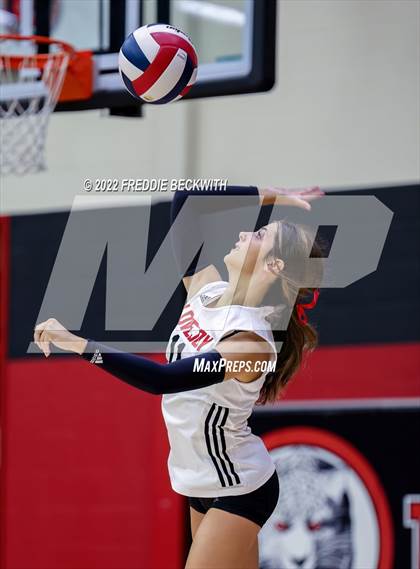 Thumbnail 2 in Prosper @ Lovejoy photogallery.