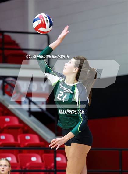 Thumbnail 1 in Prosper @ Lovejoy photogallery.
