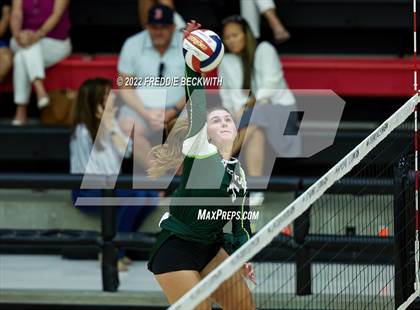 Thumbnail 2 in Prosper @ Lovejoy photogallery.