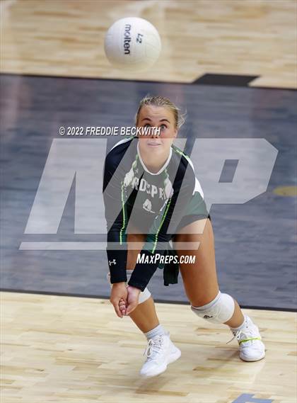 Thumbnail 1 in Prosper @ Lovejoy photogallery.