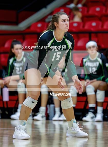 Thumbnail 3 in Prosper @ Lovejoy photogallery.