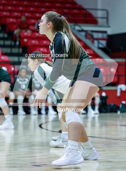Thumbnail 3 in Prosper @ Lovejoy photogallery.