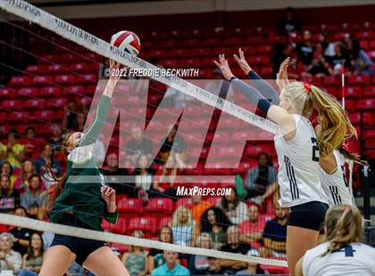 Thumbnail 1 in Prosper @ Lovejoy photogallery.