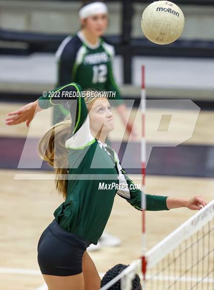 Thumbnail 1 in Prosper @ Lovejoy photogallery.