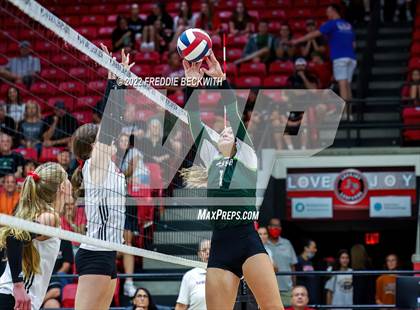 Thumbnail 2 in Prosper @ Lovejoy photogallery.