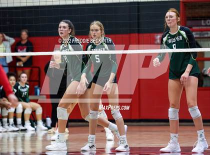 Thumbnail 3 in Prosper @ Lovejoy photogallery.
