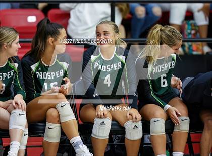 Thumbnail 3 in Prosper @ Lovejoy photogallery.