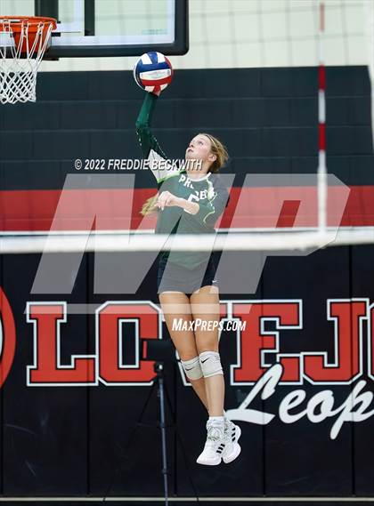 Thumbnail 2 in Prosper @ Lovejoy photogallery.