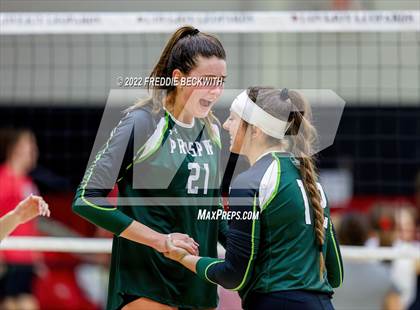 Thumbnail 1 in Prosper @ Lovejoy photogallery.